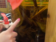 湖南妹丽华请老外男友吃东北菜在餐厅吹舔酒瓶服务员在旁边偷笑