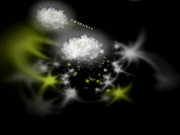 H4610 ki241121 広田 紗彩 28歳