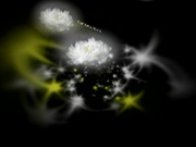 H4610 ki241215 岡田 陽子 25歳