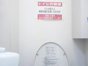 外站最新流出作品-貌似名牌購物商城公共衛生間拍攝到的各式打扮時尚的氣質顏值美女如廁 肥臀大屁股看得誘惑十足 原版高清