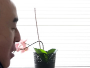 [破解] NSPS-852 転職・再雇用先の年下女上司 浜崎真緒 - 4of5