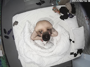 宾馆刁钻的摄像头俯视偷拍年轻情侣开房啪啪啪用的很经典的体位操完互相研究生殖器1080P超清