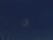 月陽炎 第三夜 祭りの夜