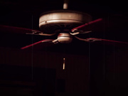 LordAardvark - Miscellaneous Expenses