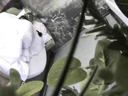 精品小旅馆绿叶房偷拍纹身社会男喝完红牛干得长发妹子高潮啊啊叫