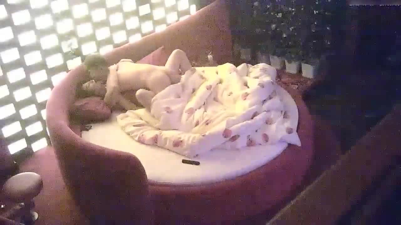 气质性感的美少妇出来偷吃约帅小伙酒店啪啪,美女受不了不让操了,男的还后插干,女说：你不是射了吗,逼都操肿了!