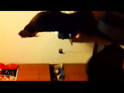 非常听话的超嫩女友口活完还可以颜射