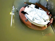 犀牛主题房学生情侣性欲强烈翘课开房爱爱会享受互相按摩然后打一炮休息一会又干一炮第二天醒了又干一炮