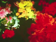 國產劇情演繹之超美熟女範富婆紅色妖姬星級酒店調教猥瑣小夥 舔逼逼喝聖水呻吟浪叫不斷 場面淫蕩刺激