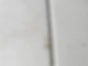 5月沟厕精品--近距离拍BB