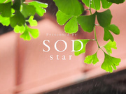 [STARS-140] 超高级轮奸俱乐部 戸田真琴【流出】 - 1of5