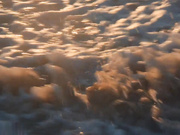 LELA STAR 的老公不在也得无时无刻做爱